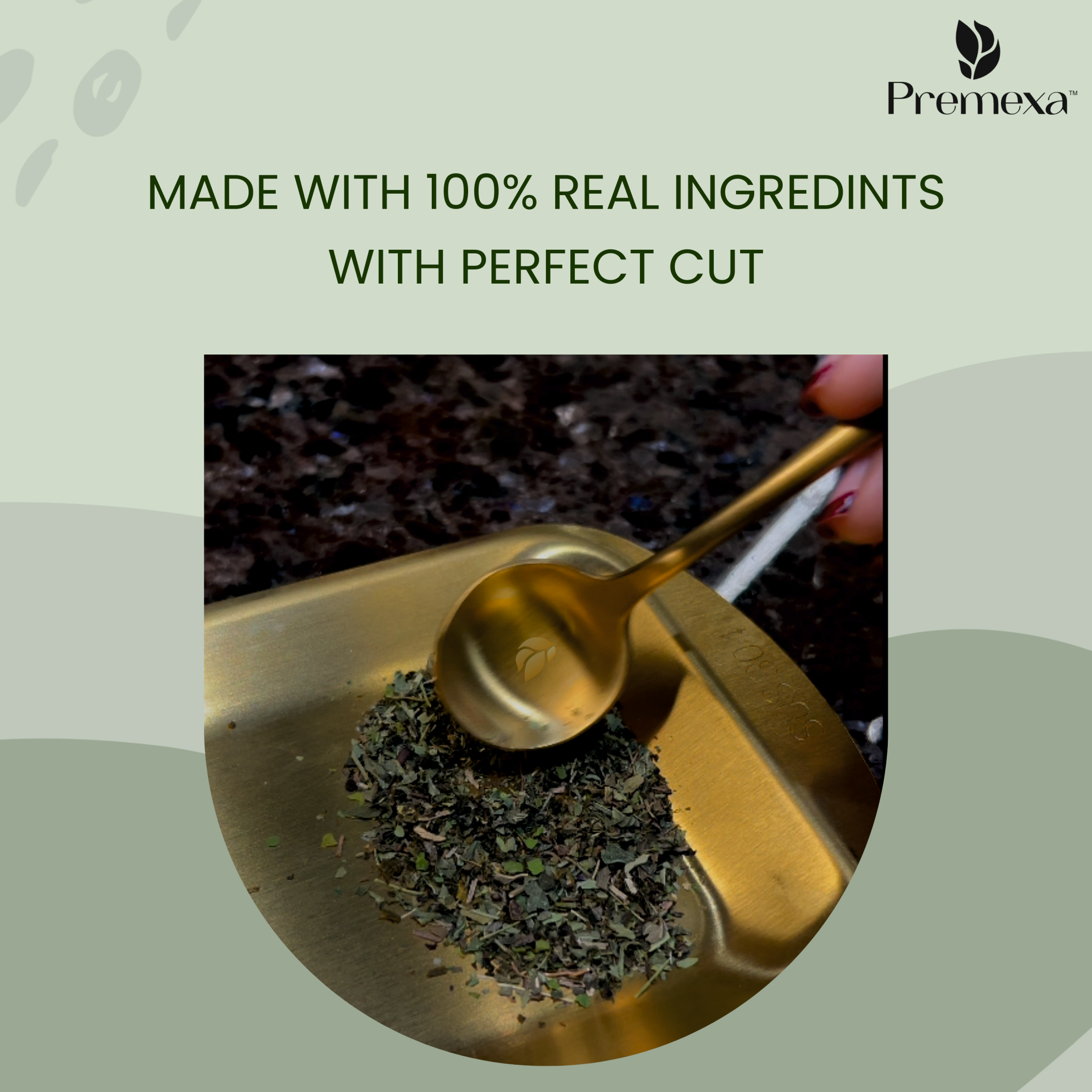 Moringa Mint Green Tea | For Weight Management and Healthy Skin