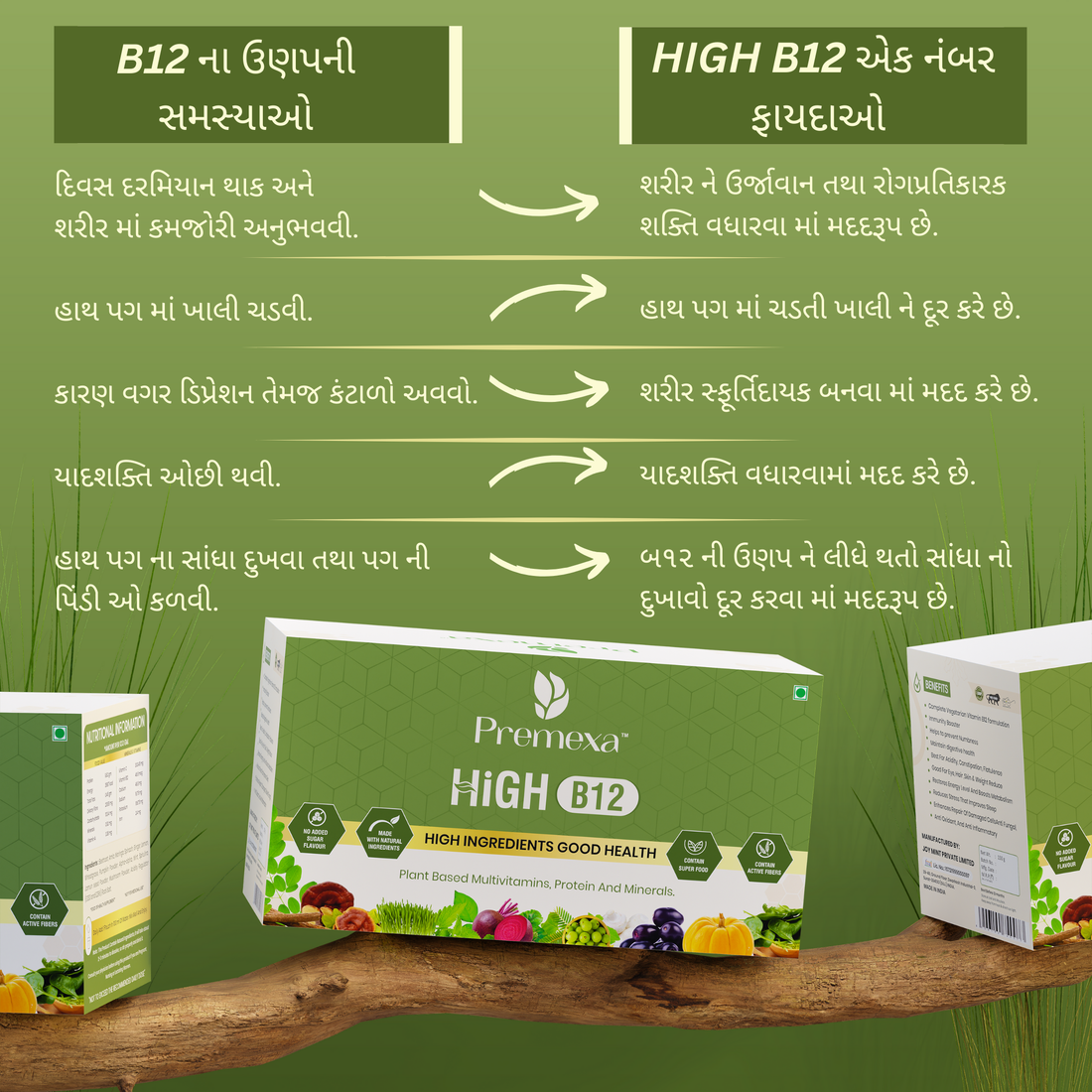 Premexa HIGH B12 | વનસ્પતિ આધારિત ફૂડ સપ્લિમેન્ટ પાવડર